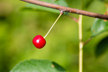 Similar image 21689362