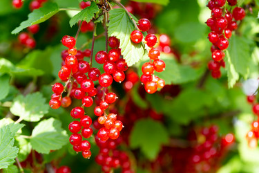 Similar image 21689363