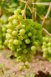 Similar image 21689365