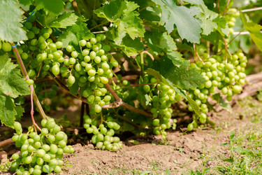 Similar image 21689366