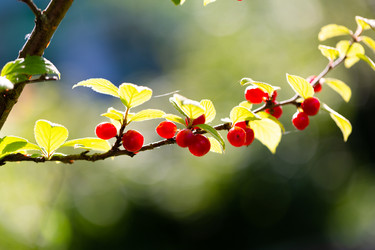 Similar image 21689368