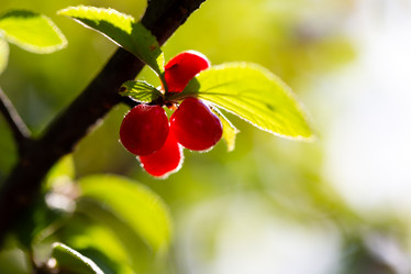 Similar image 21689369