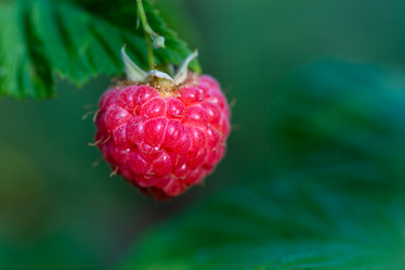 Similar image 21689370