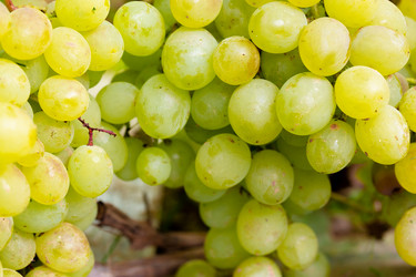 Similar image 21689371