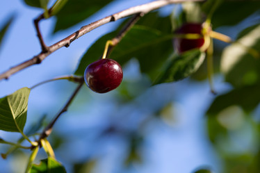 Similar image 21689372