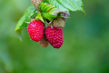 Similar image 21689373