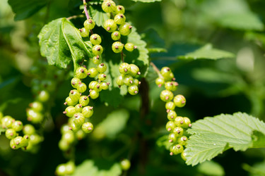 Similar image 21689374