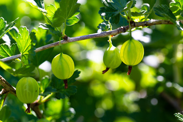 Similar image 21689376