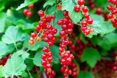 Similar image 21689377