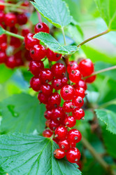 Similar image 21689378