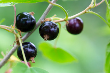 Similar image 21689381