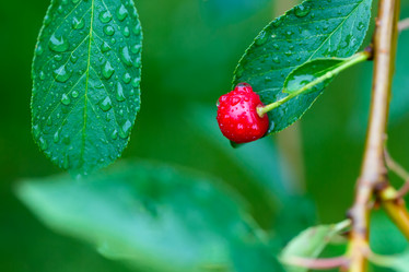 Similar image 21689382