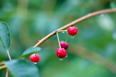 Similar image 21689383