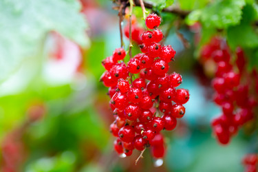 Similar image 21689384