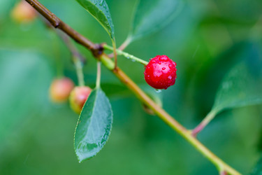 Similar image 21689385