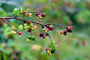 Similar image 21689386