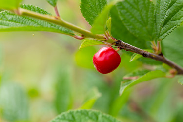 Similar image 21689388