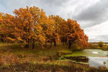 Similar image 21689389