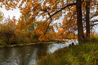 Similar image 21689390