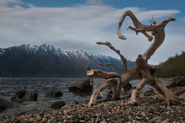 Similar image 21691984