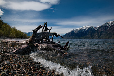 Similar image 21691985