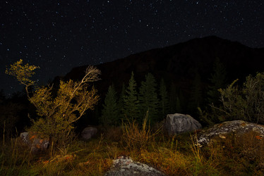 Similar image 21691990