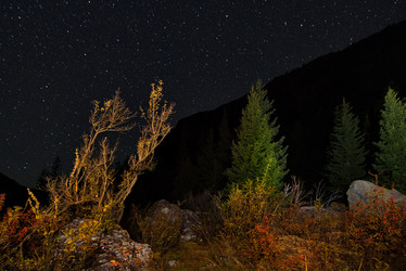 Similar image 21691992