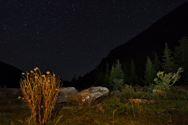 Similar image 21691993