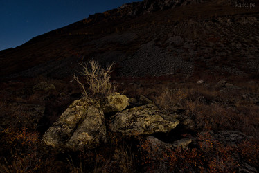 Similar image 21691995