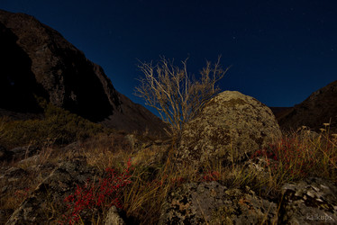 Similar image 21692002