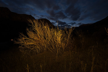 Similar image 21692003