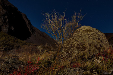 Similar image 21692004