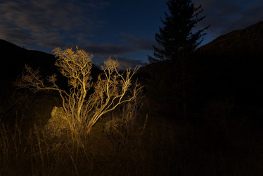 Similar image 21692005