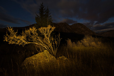 Similar image 21692007