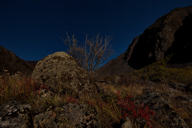 Similar image 21692008