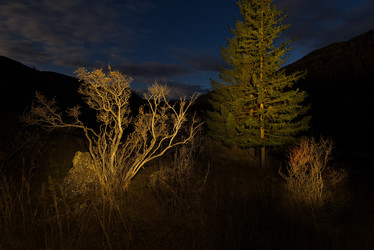 Similar image 21692009