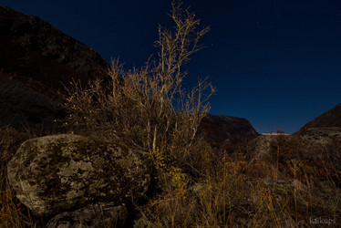 Similar image 21692010