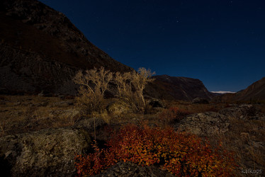 Similar image 21692012