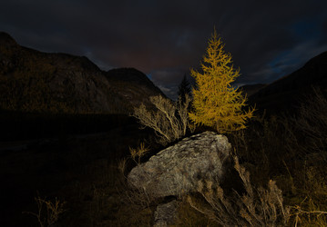 Similar image 21692015