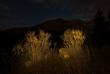 Similar image 21692017