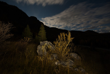 Similar image 21692019