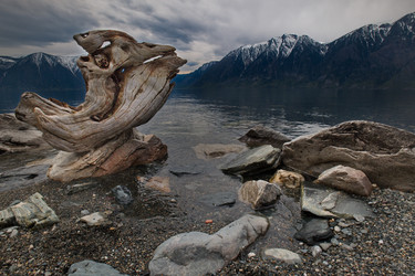 Similar image 21692022