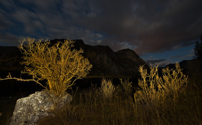 Similar image 21692023