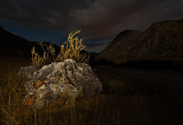 Similar image 21692134