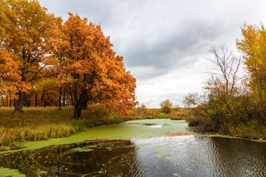 Similar image 21689391