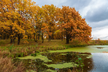 Similar image 21689392