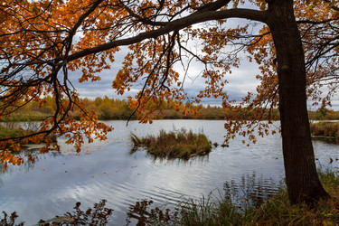 Similar image 21689393