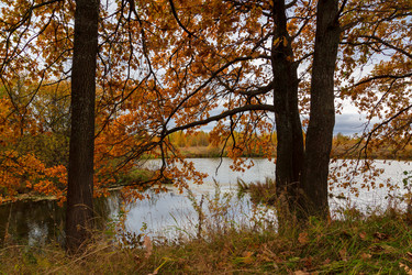 Similar image 21689395