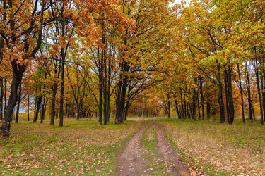 Similar image 21689396