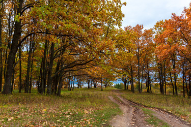 Similar image 21689397